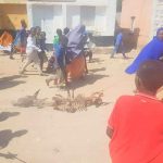 Hilib Dameer Oo Lagu Arkay Shuuqyada Degmada Buulo Burte iyo Shacab Ka Caraysan oo Ka Falceliyey