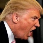 Dood Weyn oo Kataagan Xil Ka Xayuubinta Trump.