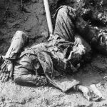 WARBIXIN-“Arrintaan oo kale haddii ey dhacdo waa khiyaano Qaran”