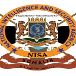 Maxay ka dhigan tahay digniinta NISA?