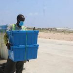 Hadii doorshada Aqalka Sare ay qaadatay afar bilood, imisaa ayey qaadan kartaa mida G/shacabka? Doorashada golaha shacabka