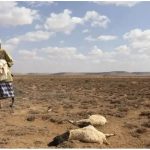 QM oo dalbaday Mallaayiin Dollar oo wax looga qabanayo abaaraha