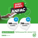 Muddo sanado ah kadib Shirkadda Hormuud oo qiimo dhimis ku sameysay kaarka ku hadalka.