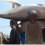 Badda loo xukmiyay Soomaaliya oo ay Kenya wali ka faa’iideysanaysa