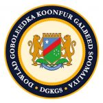 Koonfur Galbeed oo xiriirka u jartay wadashaqeyntii ay la laheyd RW Rooble.