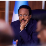 Maxay tahay Shaqada laanta Sirdoonka?