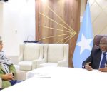 Maxaa looga hadlay kulankii Guddoomiyaha Golaha Shacabka iyo u qaabilsanaha Midowga Yurub arrimaha geeska Africa?