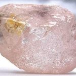 Dheemaan noociisu dhif yahay oo laga helay dal ku yaalla Afrika