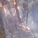 Dab shalay ka kacay buuraleyda gobolka Sanaag oo wali socda