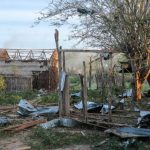 Ciidanka DANAB iyo kuwa Jubbaland oo fuliyay howlgal wadajir ah