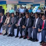 Guuxa iyo abaabul ka dhan ah xukuumada Ra’iisul Wasaare Xamse oo socda.