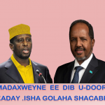 Waa maxay saddexda caqabadood ee daraasadan shaaca ka qaaday?