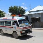 Tirada dadka sanadkan lagu dilay Soomaaliya oo la shaaciyay