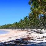 Dhacdo xanuun badan oo ka dhacday Degmada Warsheekh.