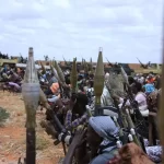 Maxay yihiin Xoogaga abaabulan ee lagu soo bandhigay Dhuusamareeb?